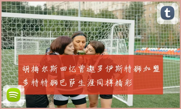 胡梅尔斯回忆曾邀罗伊斯特狮加盟多特特狮巴萨生涯同样精彩