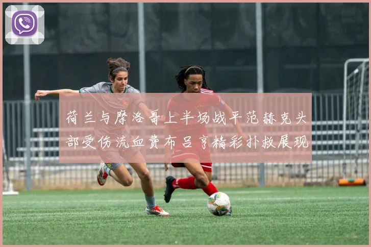 荷兰与摩洛哥上半场战平范赫克头部受伤流血费布吕亨精彩扑救展现实力